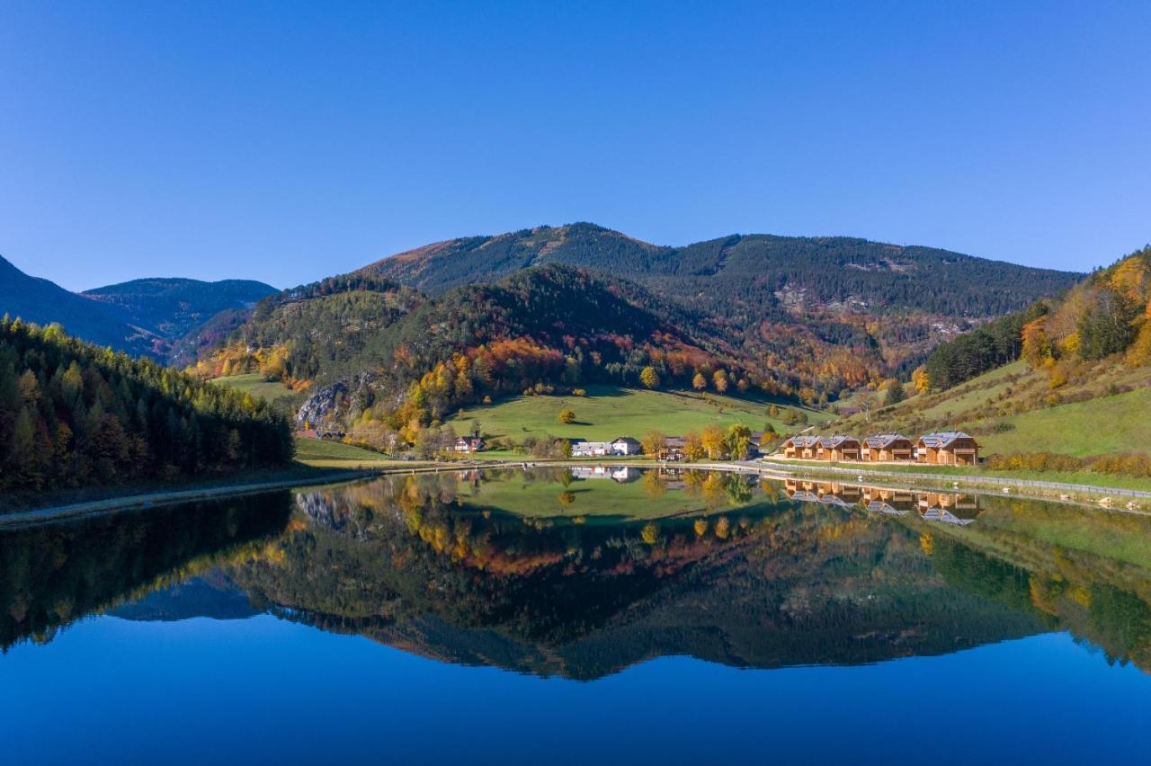 Chalet Am Schneeberg See Puchberg am Schneeberg Zewnętrze zdjęcie
